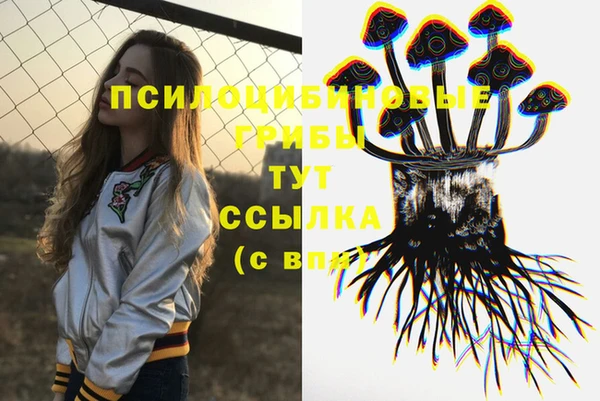 трава Армянск
