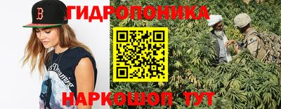 кокс Моздок