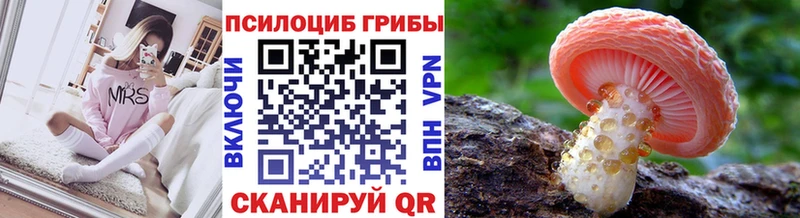 Псилоцибиновые грибы Psilocybine cubensis  где найти наркотики  Тавда 