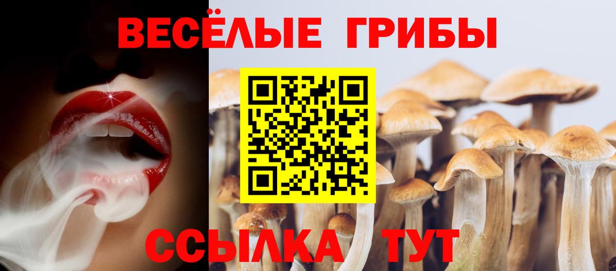 Тавда  купить  сайты  Галлюциногенные грибы GOLDEN TEACHER  Вход с VPN  Псилоцибиновые грибы ЛСД 